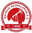 阿达纳1954