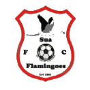 塔菲FC